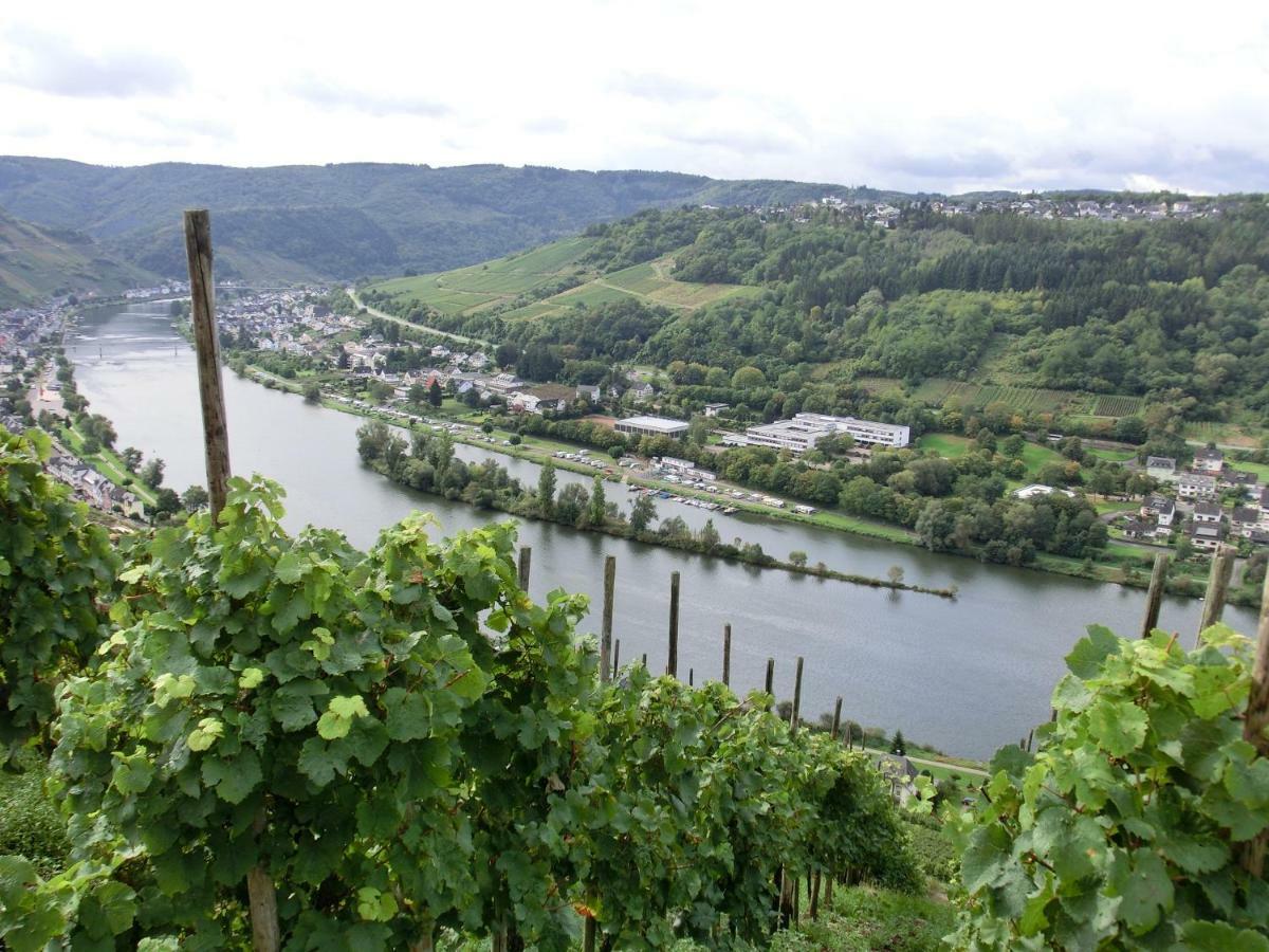 Beim Winzer Apartamento Zell an der Mosel Exterior foto